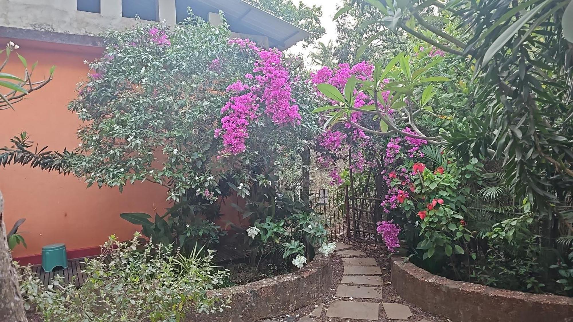 Laxmi Happy Home In Querim Goa المظهر الخارجي الصورة