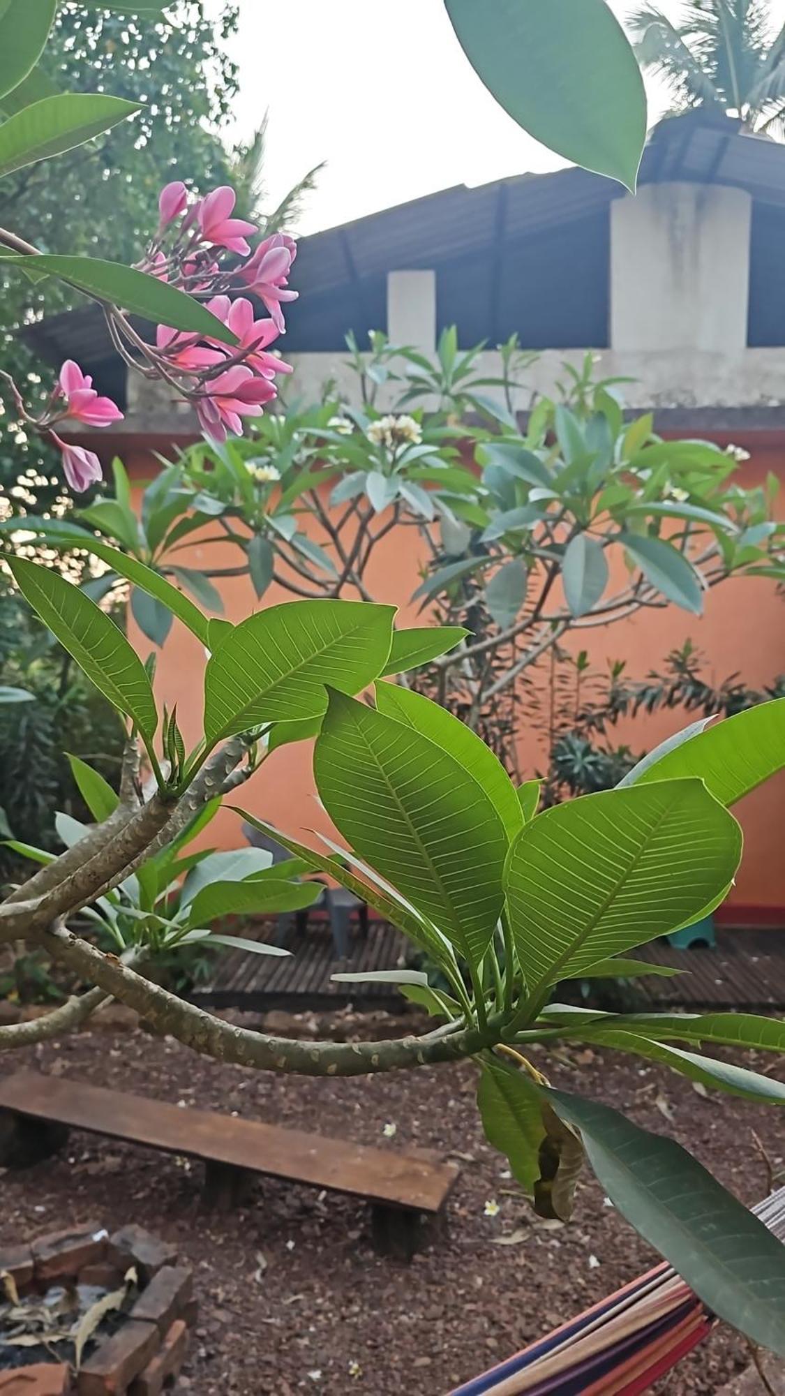 Laxmi Happy Home In Querim Goa المظهر الخارجي الصورة