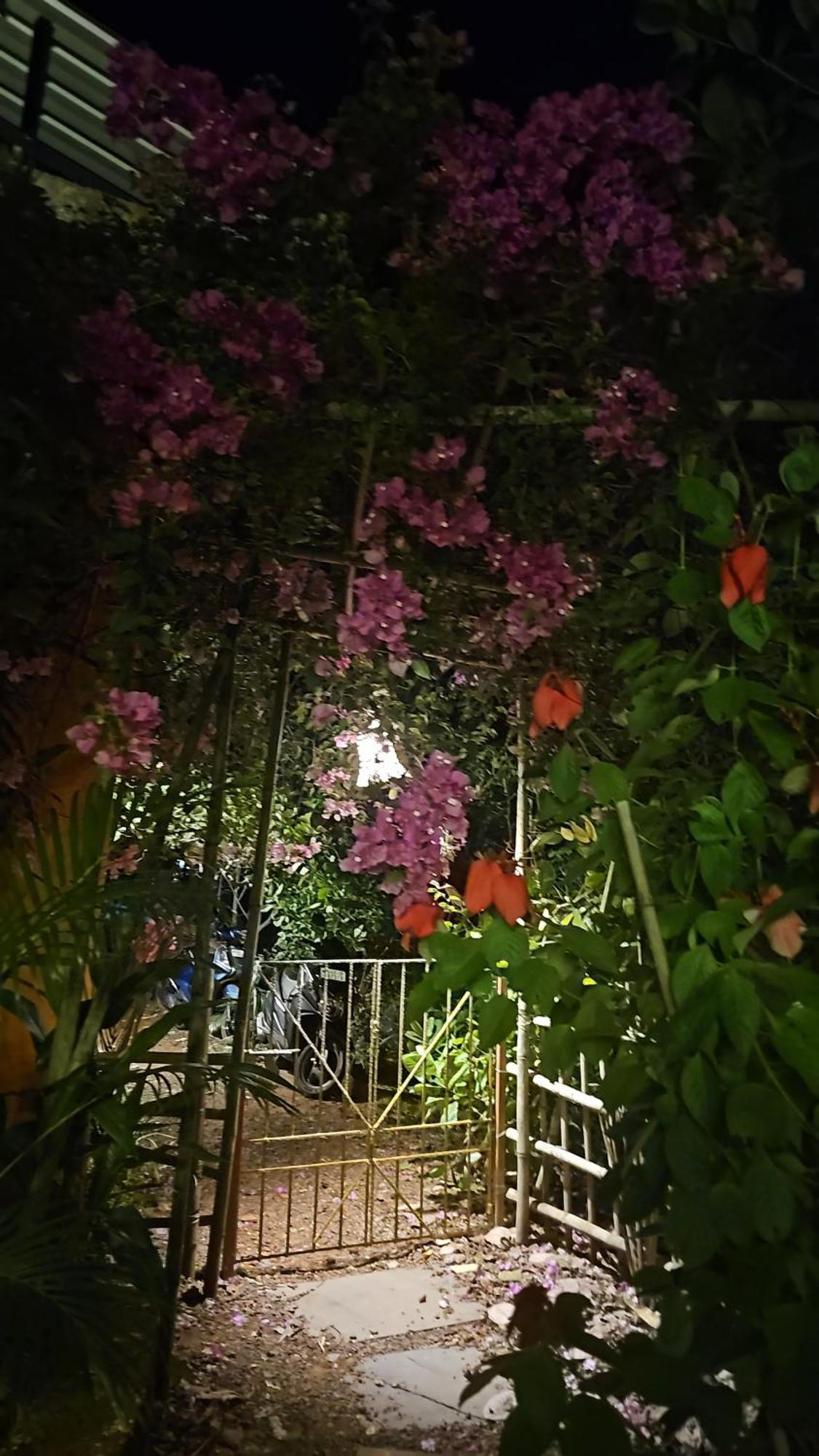 Laxmi Happy Home In Querim Goa المظهر الخارجي الصورة